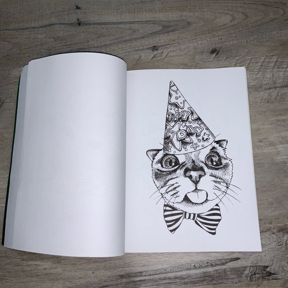 (Bin 4) Color Creatives, cats w/ hats, 56 pages of cats in hats, silly and fun - Picture 2 of 4